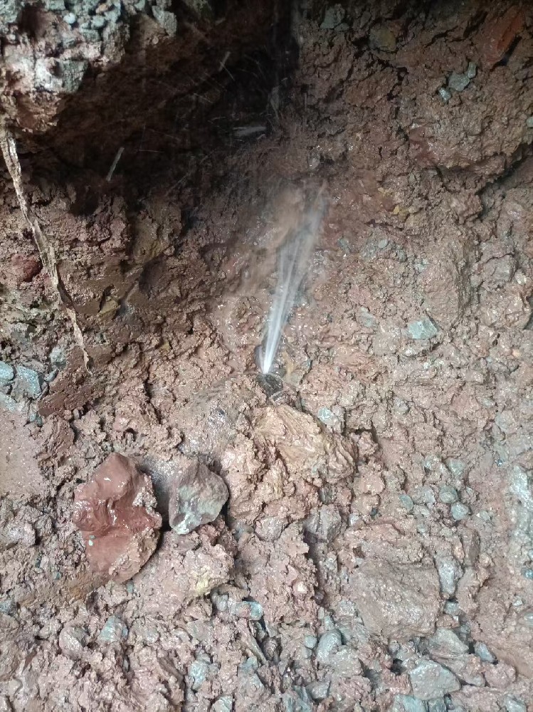 嘉黎县本地服务：自来水管漏水检测维修