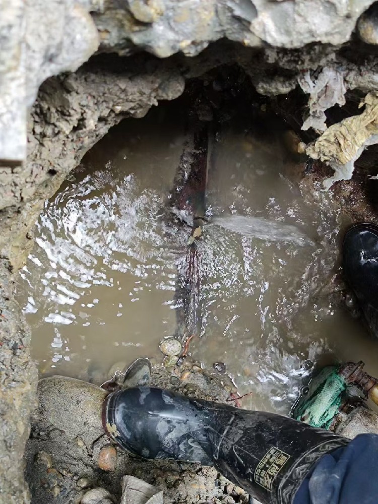 嘉黎地区绿化水管漏水检测维修